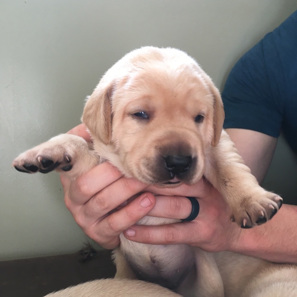 Meet your Posher, Erin